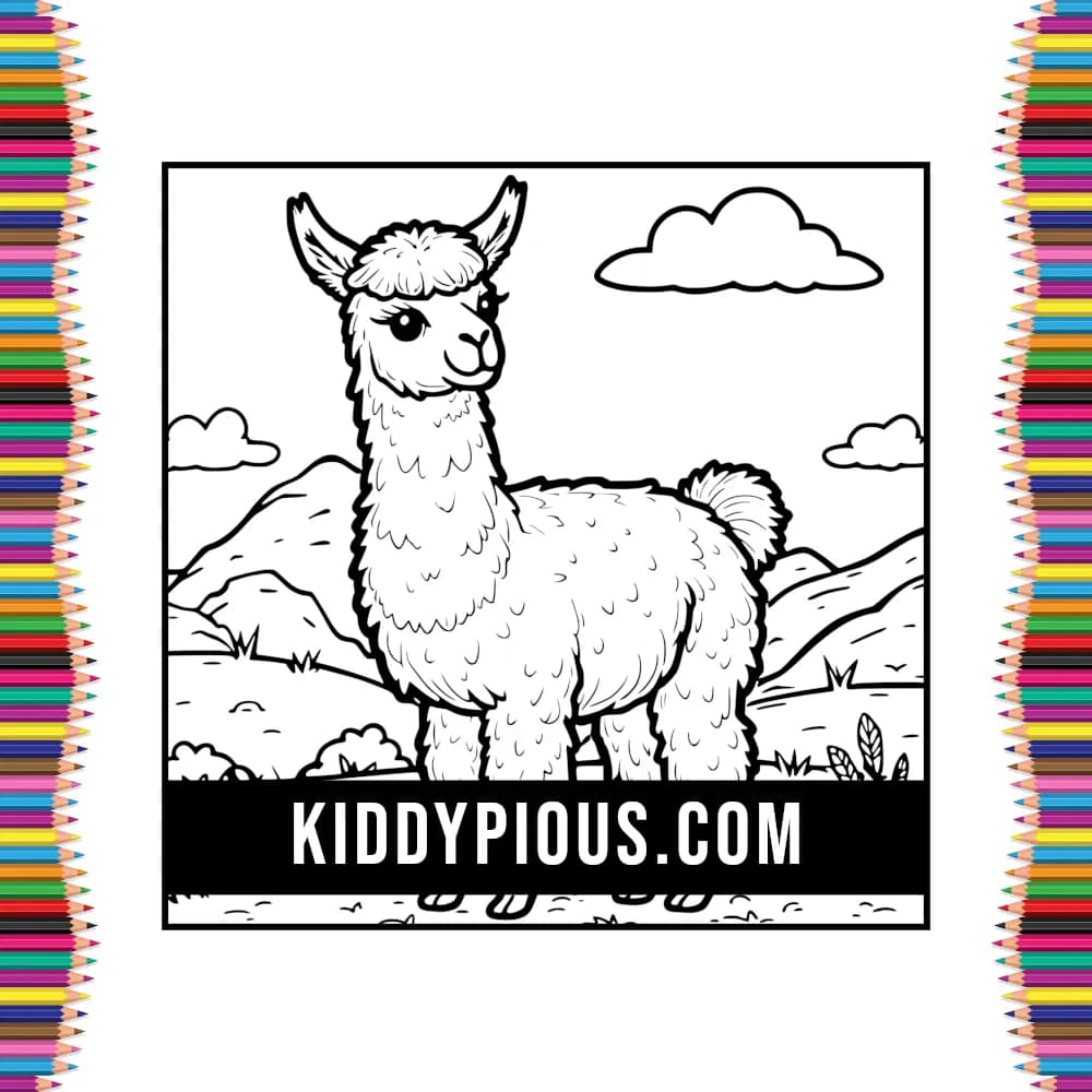 Livre Coloriage Animaux Enfants 3 4 5 1