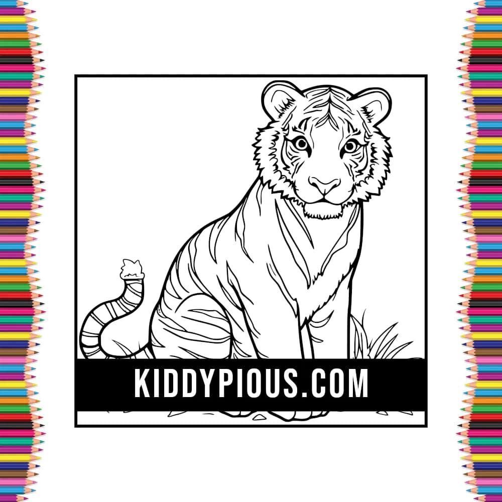 Livre Coloriage Animaux Enfants 3 4 5 2